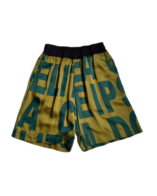 Dries Van Noten Numbers Shorts